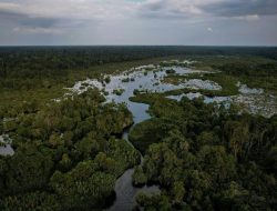 IUCN dan APRIL Perkuat Ilmu Konservasi lewat Kolaborasi Global